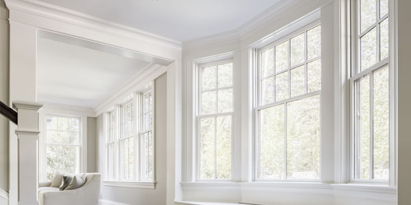 Picture and specialty window style