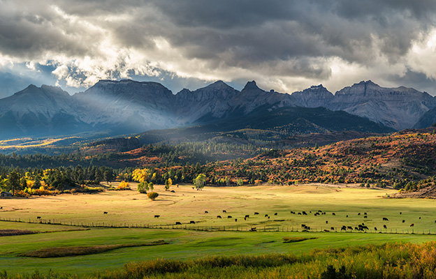 Window installations and exterior projects across Louisville Colorado neighborhoods