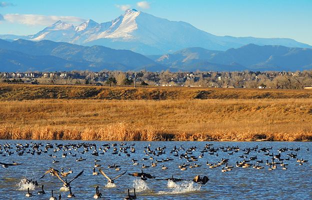 Windows installations and service across Windsor Colorado neighborhoods