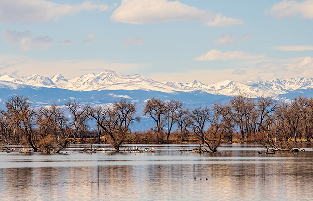 Windows installations and service area coverage across Brighton neighborhoods