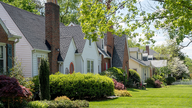 Golden neighborhood home with new windows
