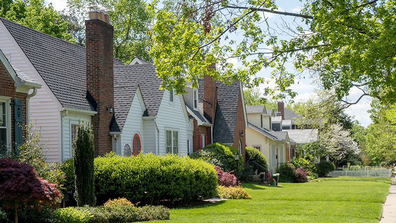 Longmont neighborhood home with new windows