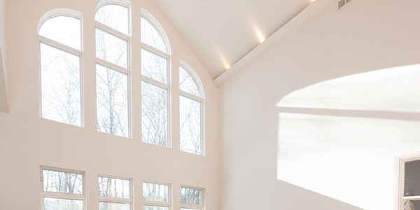 Picture and specialty window style